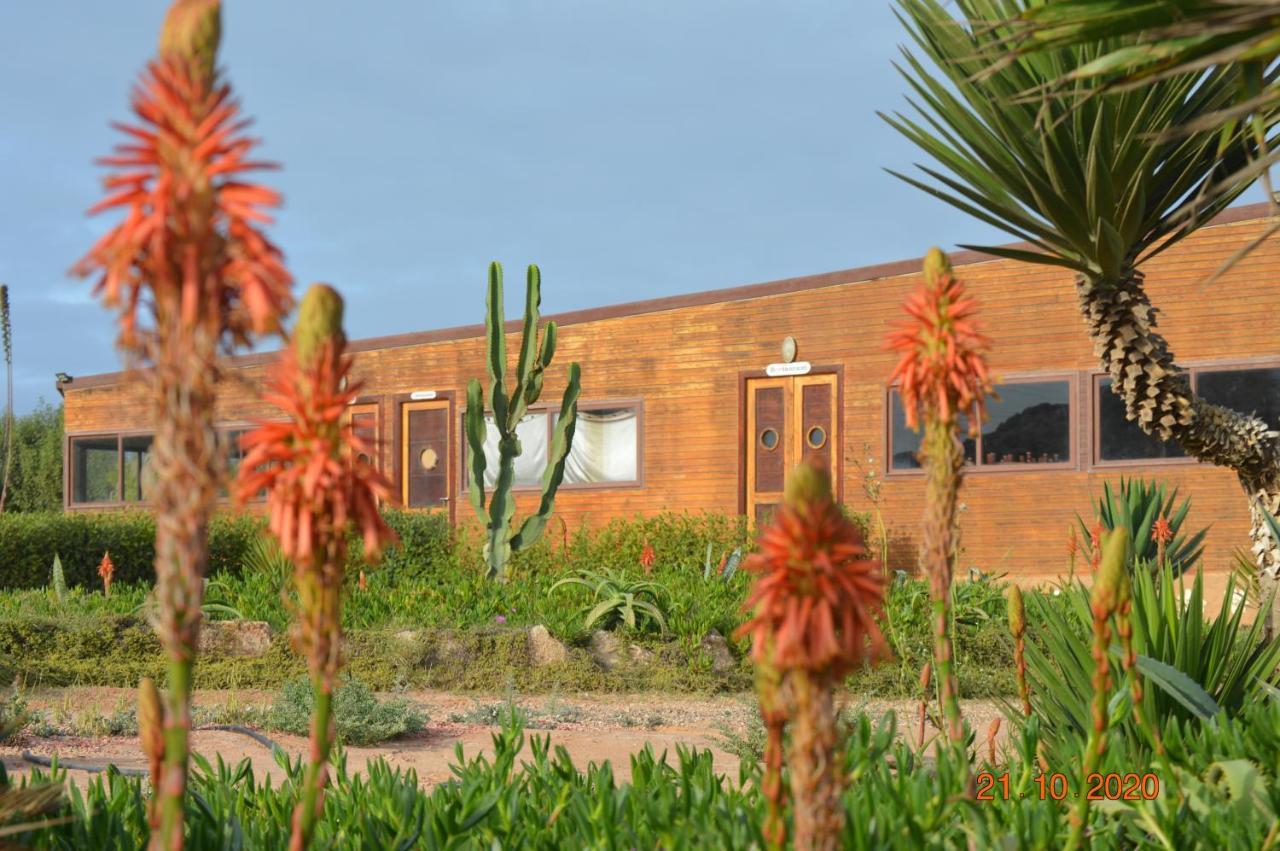 Dakhla Kitesurf World Hotel Eksteriør billede